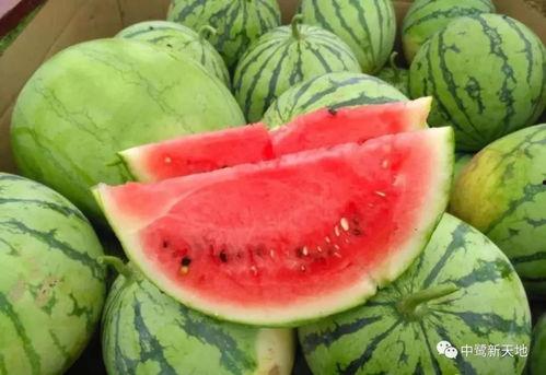 今日吃瓜最新,揭秘娱乐圈最新热点事件